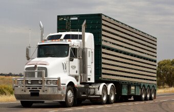 Стекло лобовое KENWORTH T604 1997- () 1637*685*1661 
Бренд: BSG с зеленой полосой